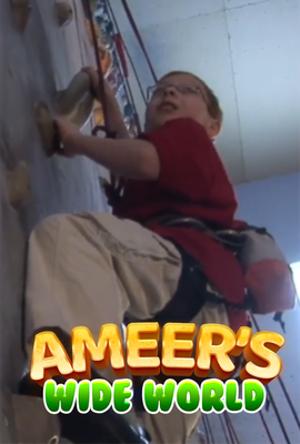 Ameer's Wide World